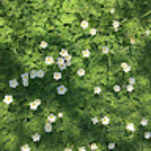 Meet your Posher, Leilani